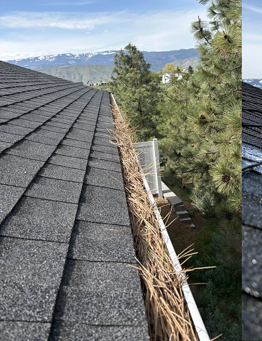 Gutter filled with debris before cleaning